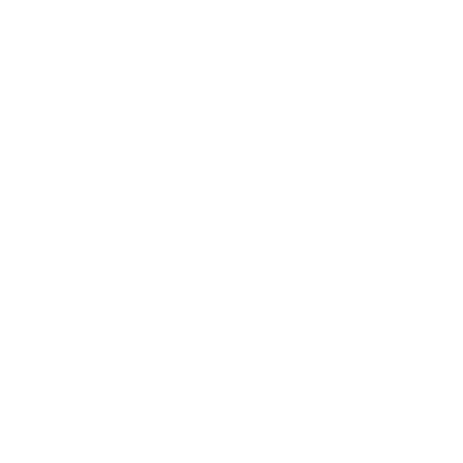 Access to Government Support
